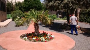 IMG_20150624_130932545