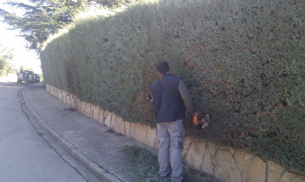 mantenimiento 25